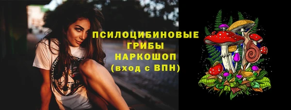 apvp Аркадак