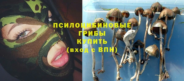 spice Армянск