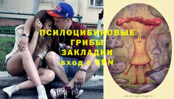 apvp Аркадак